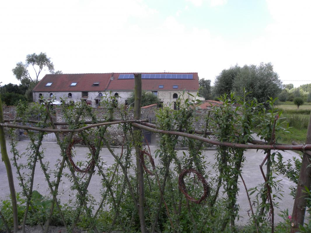 photo 38
