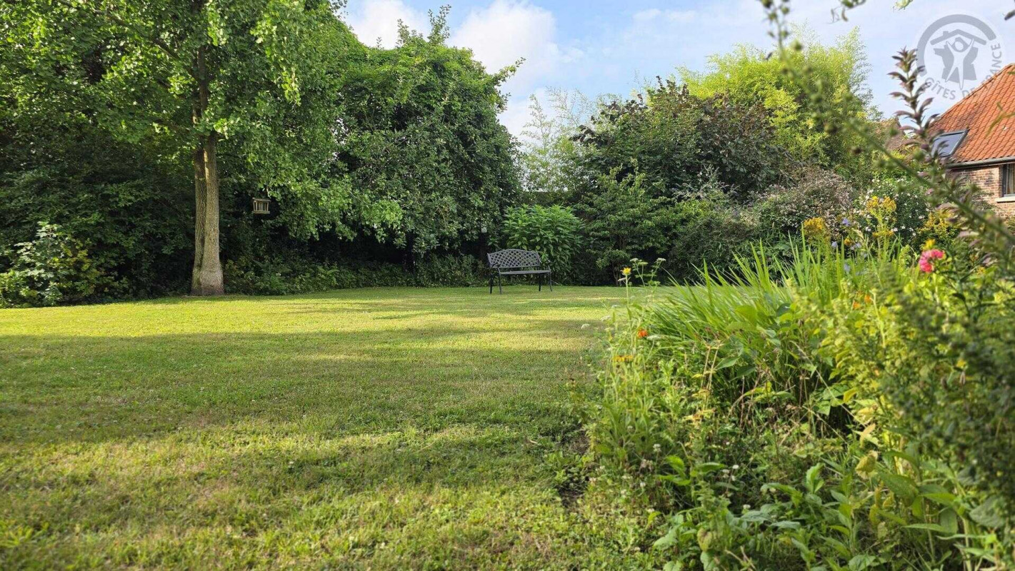 photo 39