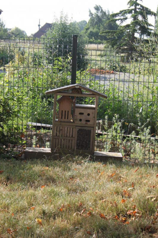 photo 40