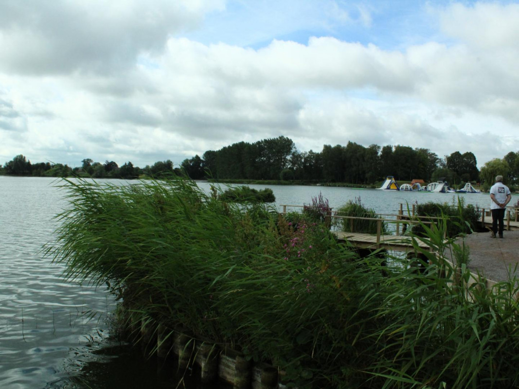 photo 35