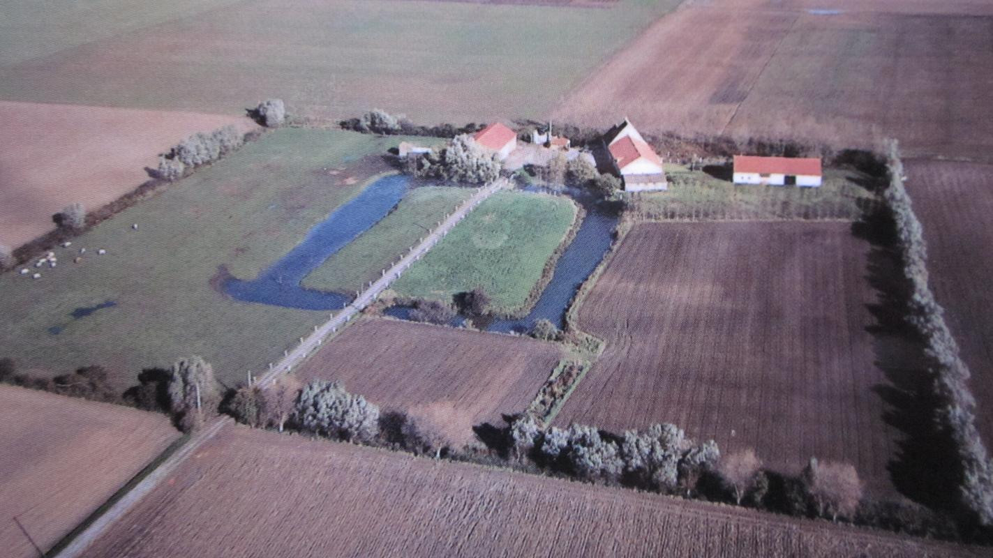 photo 34
