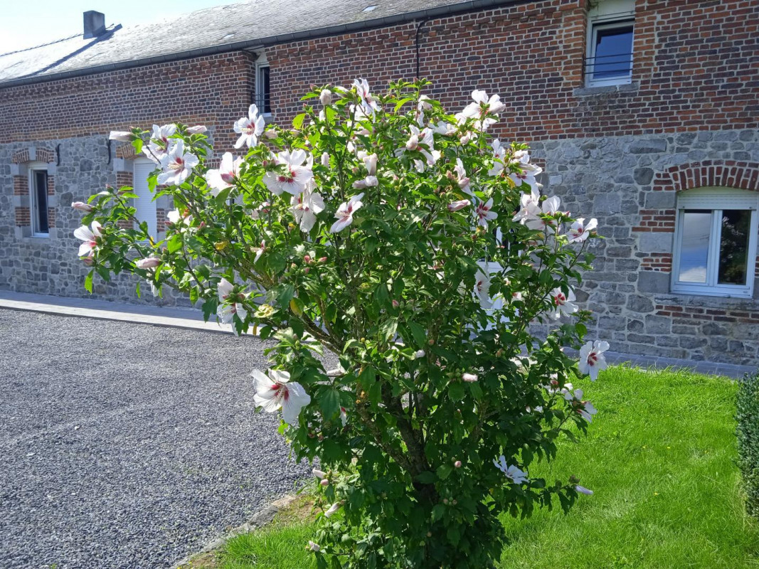 photo 39