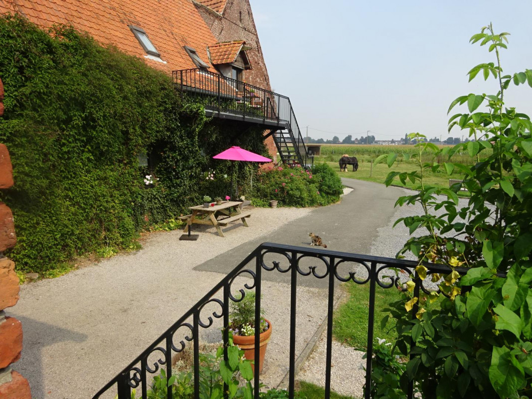 photo 0