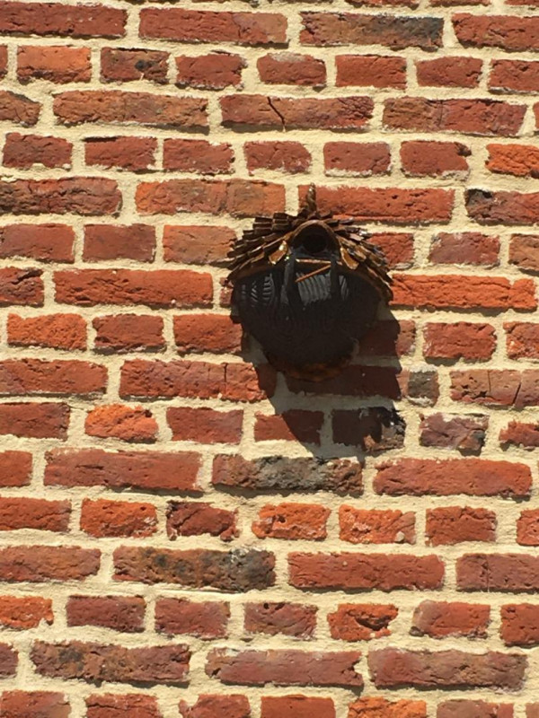 photo 49