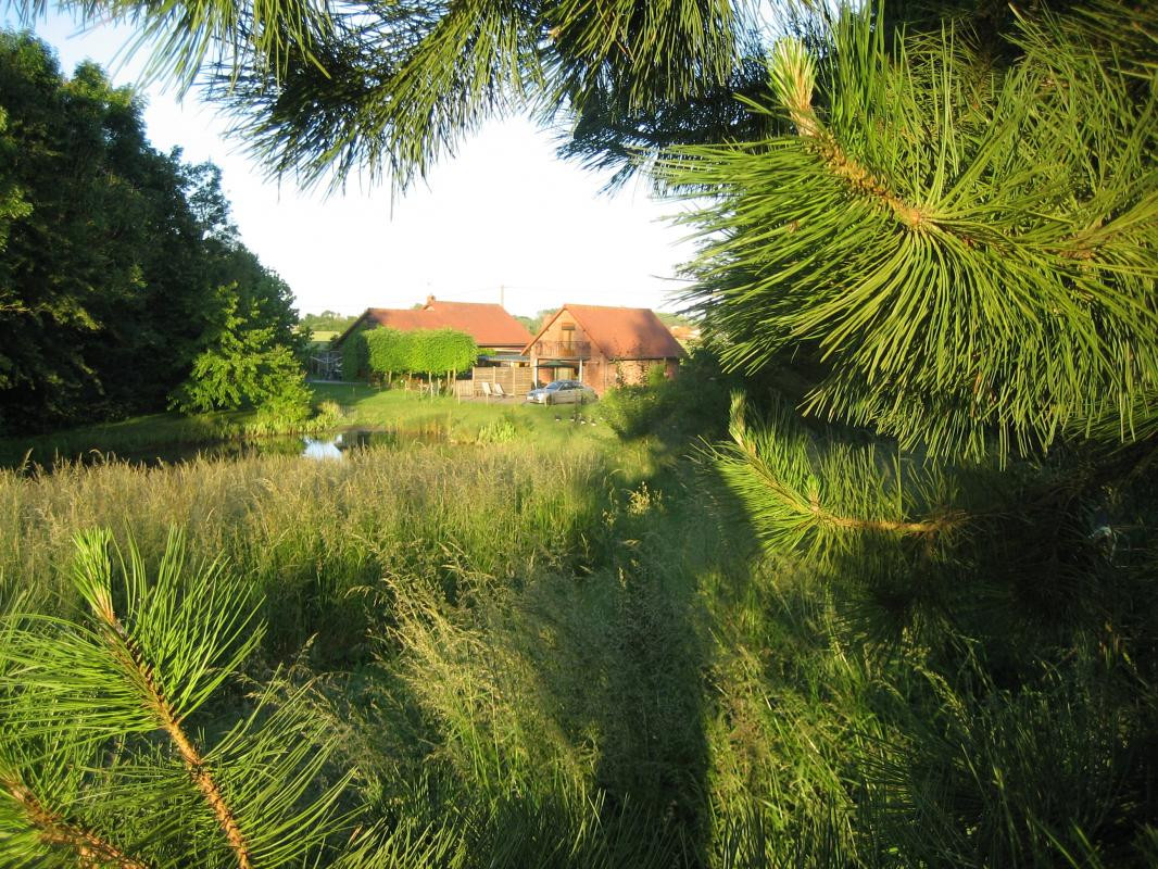 photo 45