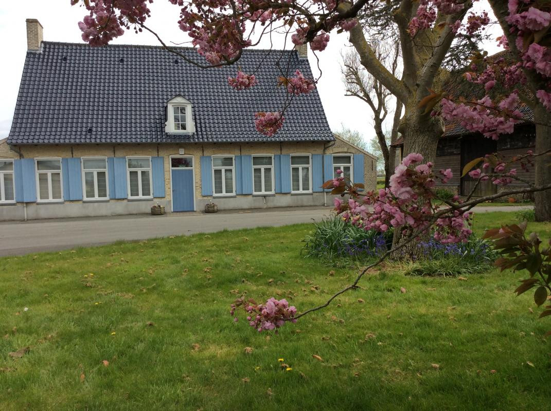 photo 52