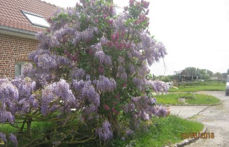 G&icirc;te n&deg;G11182 Lestrem - Pas-de-Calais - photo