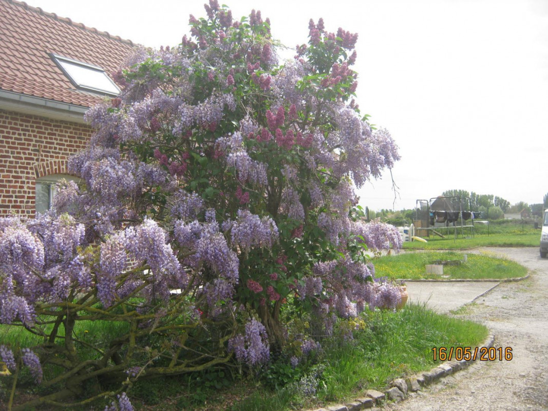 photo 0