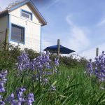 La Tiny House du Pigeonnier La Tiny House du Pigeonnier