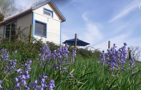 Tiny HouseG622420 Baincthun - Pas-de-Calais - La Tiny House du Pigeonnier