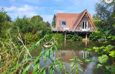 Cabane sur pilotisG622687 Aire-sur-la-Lys - Pas-de-Calais - Etang au pied du gite