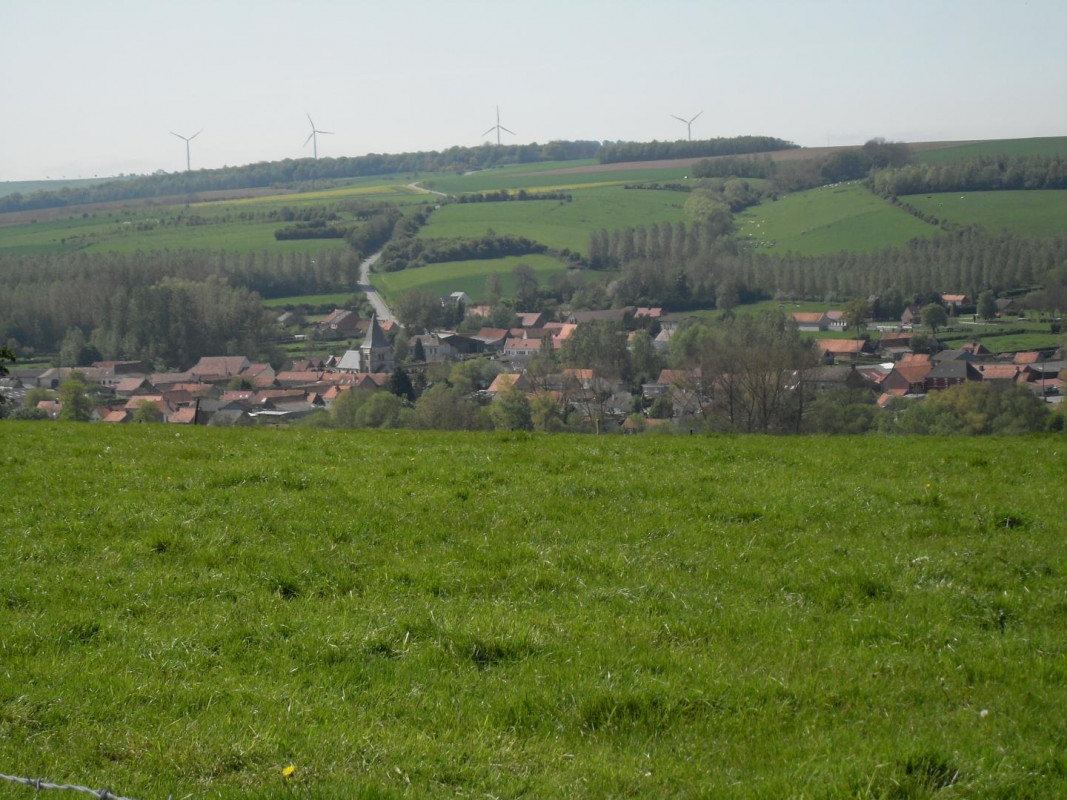 photo 46