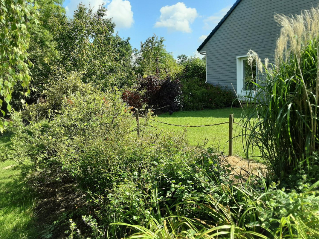 photo 35