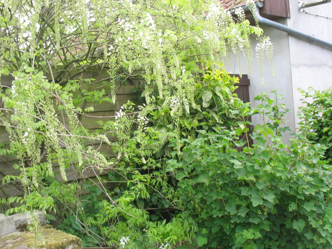 photo 34
